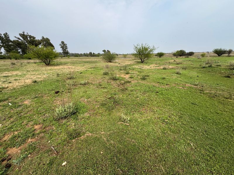 A wide-angle view of a vacant residential plot featuring natural grassland and scattered native shrubs.