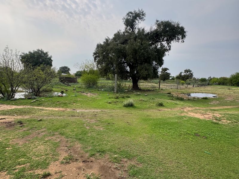 A view of a vacant residential plot featuring open grassy areas, mature trees, and perimeter wire fencing.