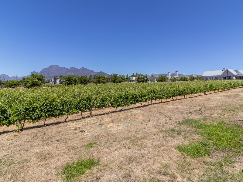 Vacant Land / Plot for Sale in Paarl South - Photo 8