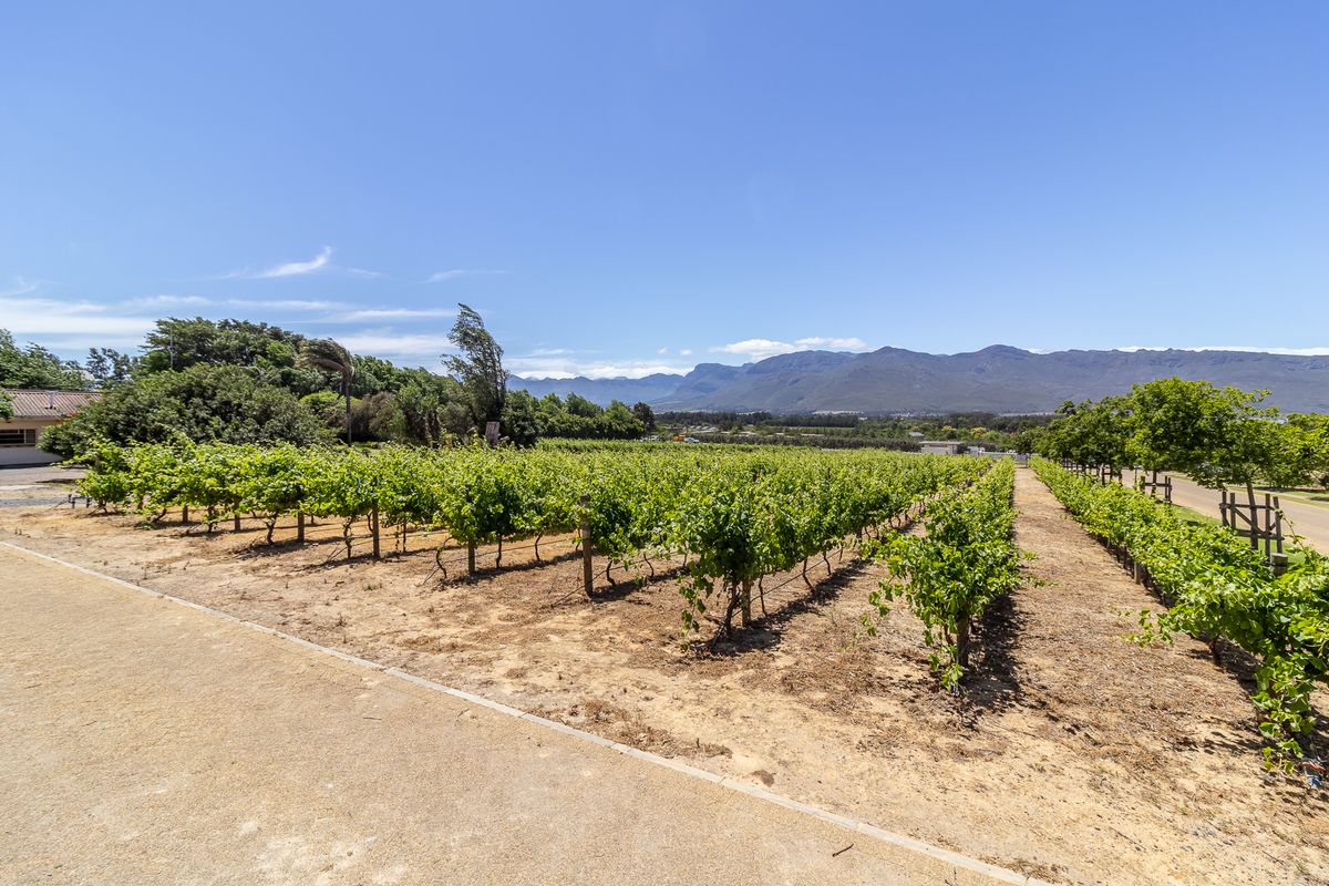Vacant Land / Plot for Sale in Paarl South - Photo 4