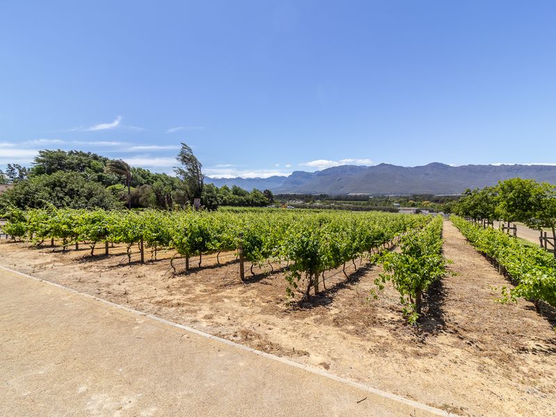 Vacant Land / Plot for Sale in Paarl South - Photo 4
