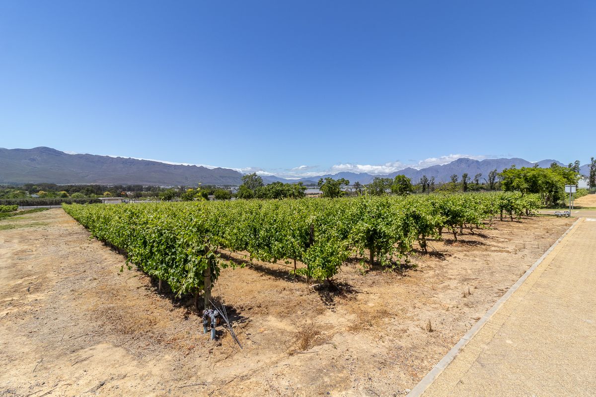 Vacant Land / Plot for Sale in Paarl South - Photo 5