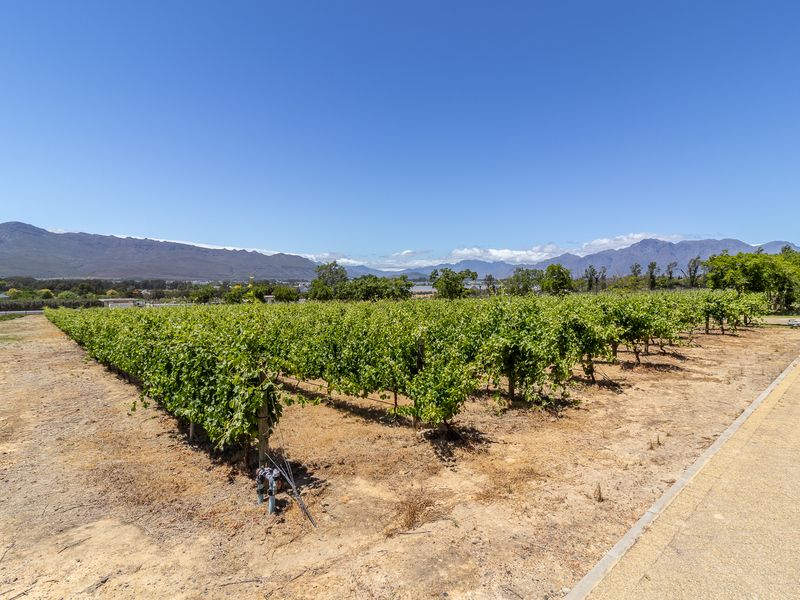 Vacant Land / Plot for Sale in Paarl South - Photo 5