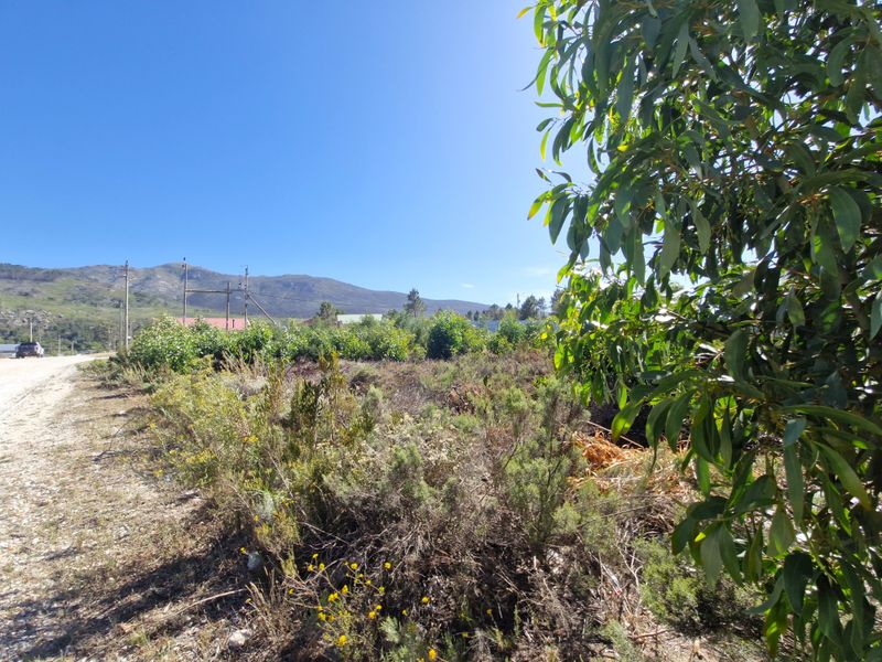 Corner Plot for Sale – Myddleton, Caledon - Photo 7