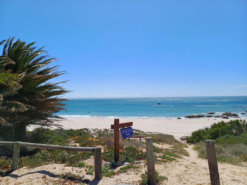 A scenic view of the coastline and beach, featuring natural vegetation, sandy terrain, and direct access to the ocean.