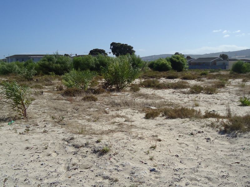 Vacant Land Residential For Sale In Blue Downs - Photo 5