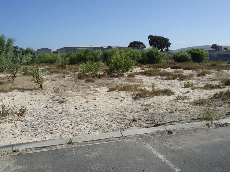 Vacant Land Residential For Sale In Blue Downs - Photo 4