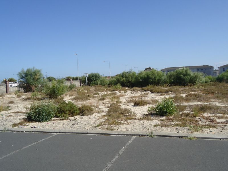 Vacant Land Residential For Sale In Blue Downs - Photo 3