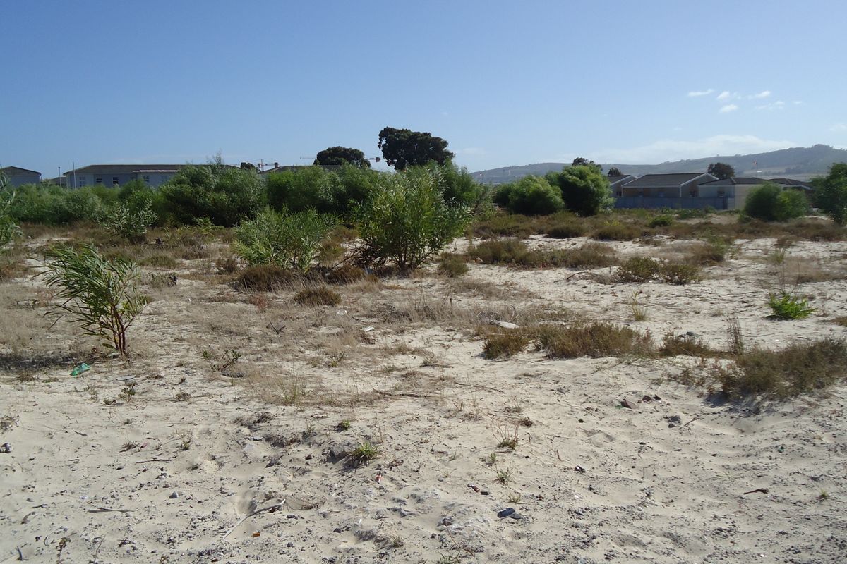 A vacant residential plot featuring sandy terrain and native vegetation, situated in a developed neighborhood setting.