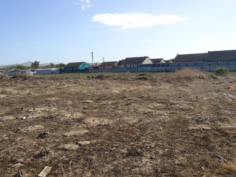 A vacant residential plot of land featuring natural ground cover and a perimeter boundary wall, situated in an established residential neighborhood.