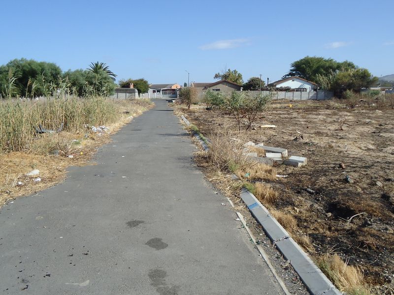 A view of an asphalt residential street with concrete curbing, bordered by undeveloped land and overgrown vegetation.