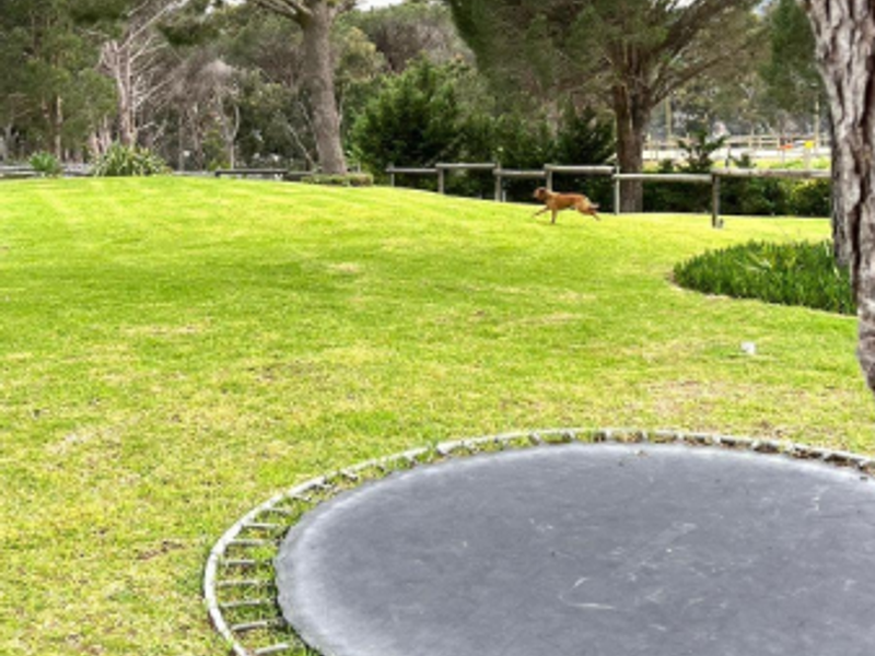 A spacious, well-maintained garden area featuring a lush lawn, mature trees, and timber post and rail boundary fencing.