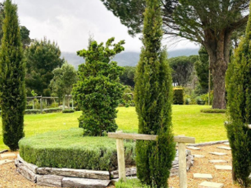 A well-maintained garden area featuring mature trees, manicured shrubs, and stone pathways set within a lush green lawn.