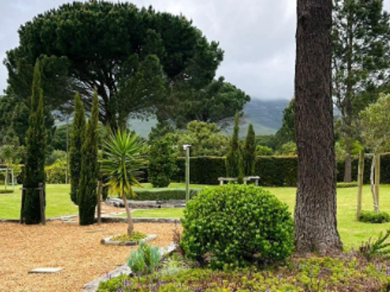 A well-maintained garden area featuring mature trees, landscaped beds with stone edging, and stone pathway pavers set against a scenic mountain backdrop.
