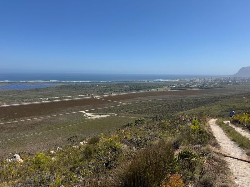 Expansive elevated landscape view overlooking the coastal plains, natural vegetation, and distant ocean horizon.