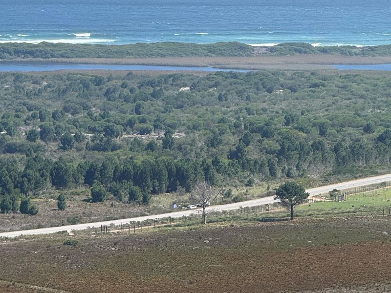 An elevated landscape view showcasing the farm property, surrounding natural vegetation, a coastal road, and the ocean in the distance.