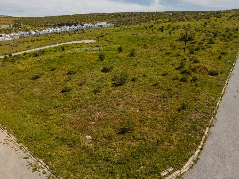 Some things in life are truly priceless — and quality of life is one of them. - Photo 10