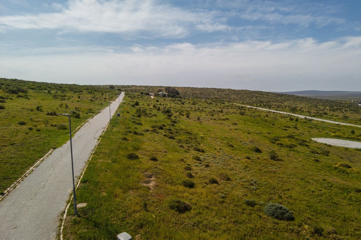 Some things in life are truly priceless — and quality of life is one of them. - Photo 5