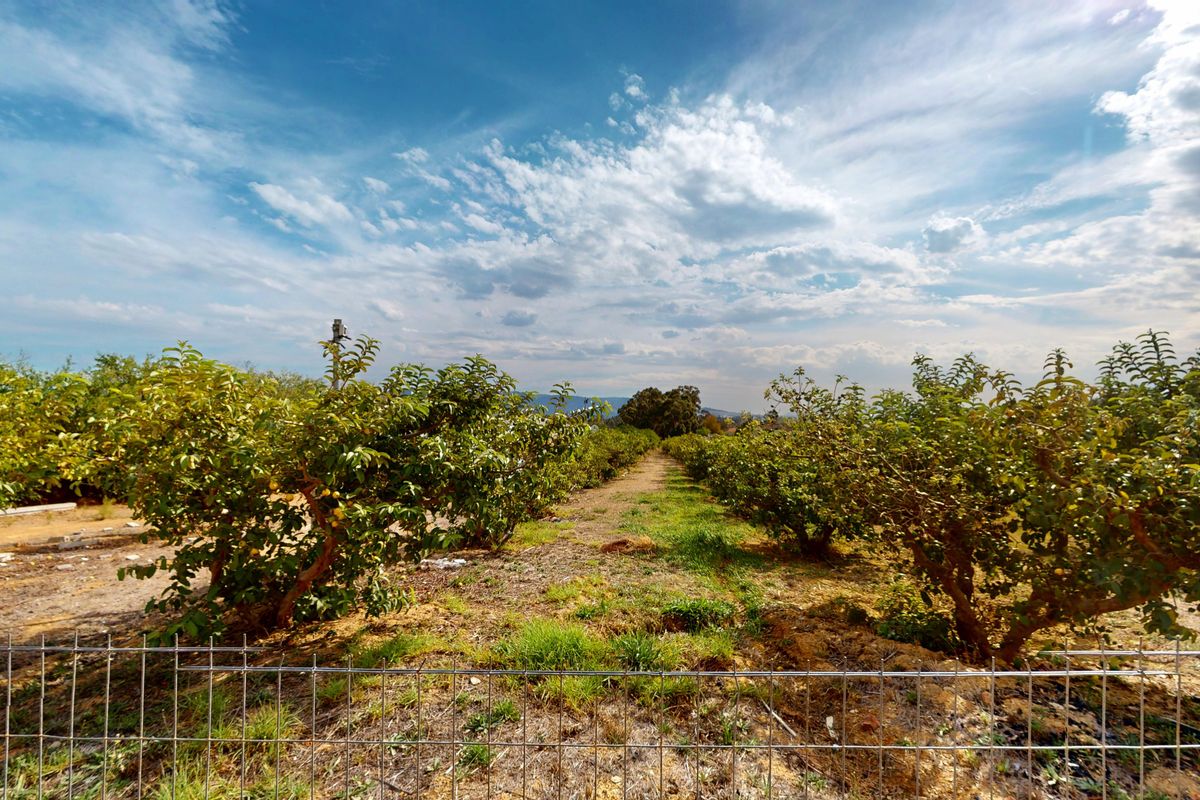 Spectacular 7.8ha off-grid farm with Guesthouse & Function Venue - Paarl! - Photo 5