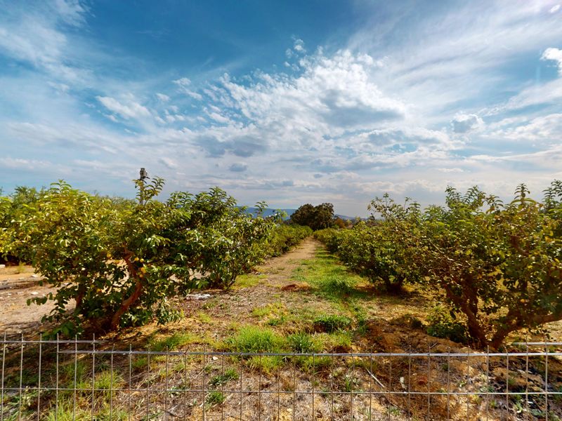 Spectacular 7.8ha off-grid farm with Guesthouse & Function Venue - Paarl! - Photo 5