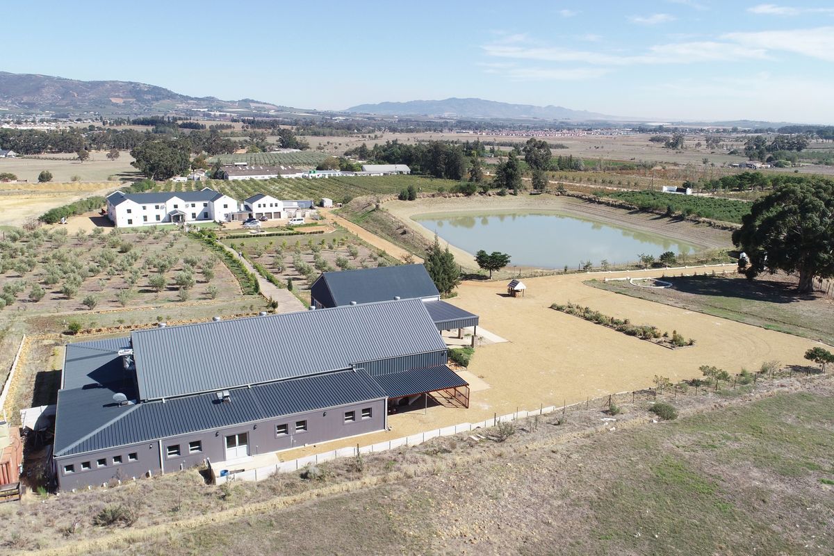 Spectacular 7.8ha off-grid farm with Guesthouse & Function Venue - Paarl! - Photo 3