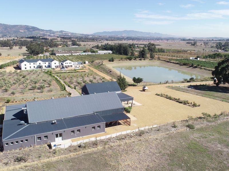 Spectacular 7.8ha off-grid farm with Guesthouse & Function Venue - Paarl! - Photo 3