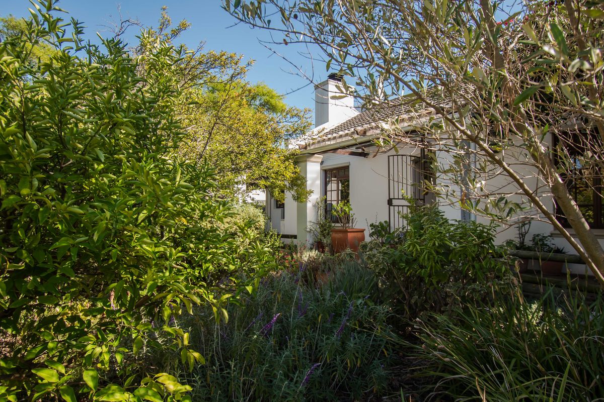 Cute Cape Cottage in established suburb - Photo 4