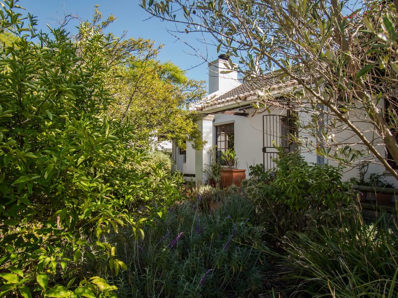 Cute Cape Cottage in established suburb - Photo 4