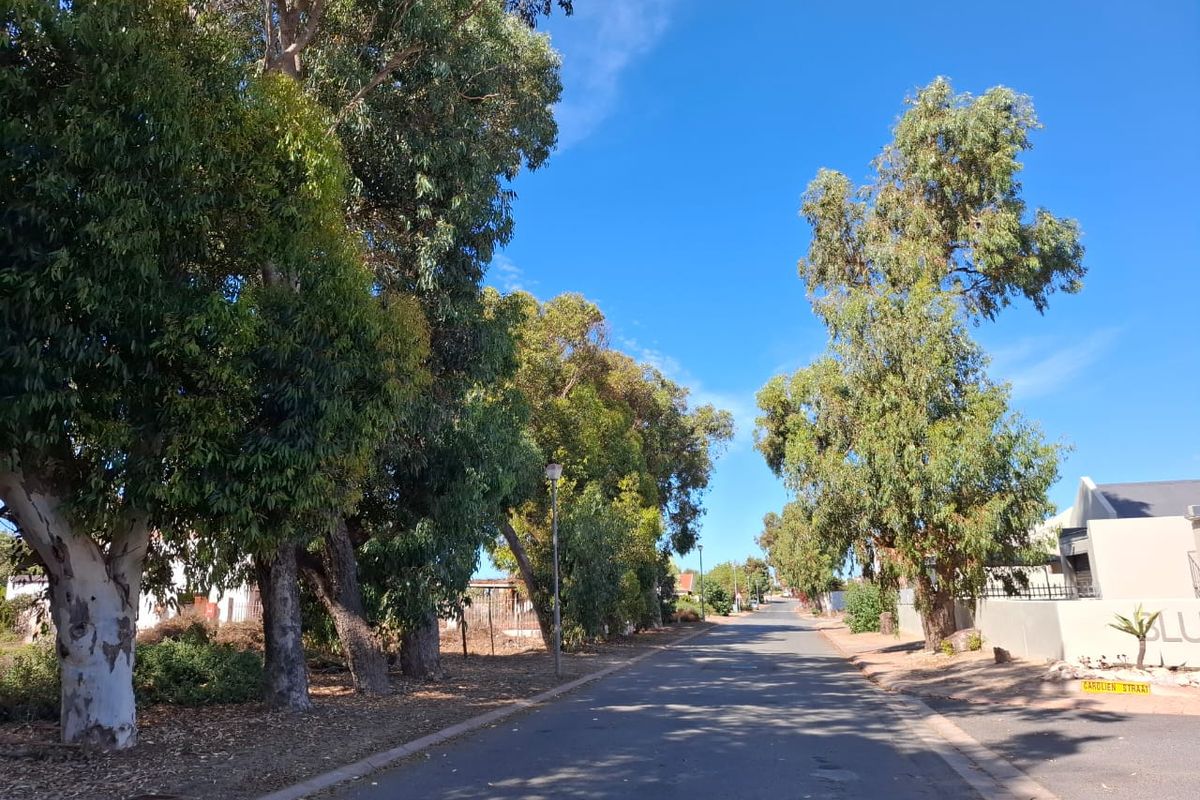 Vacant Plot – Walk to the Beach | Bluewater Bay - Photo 4