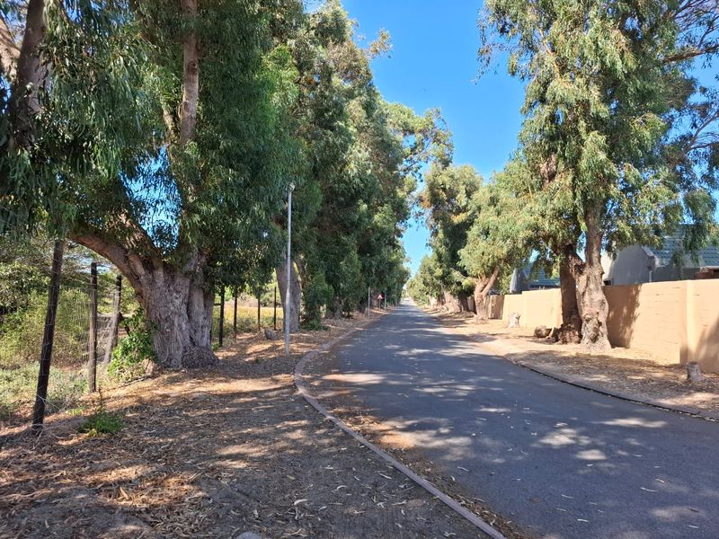 Vacant Plot – Walk to the Beach | Bluewater Bay - Photo 2