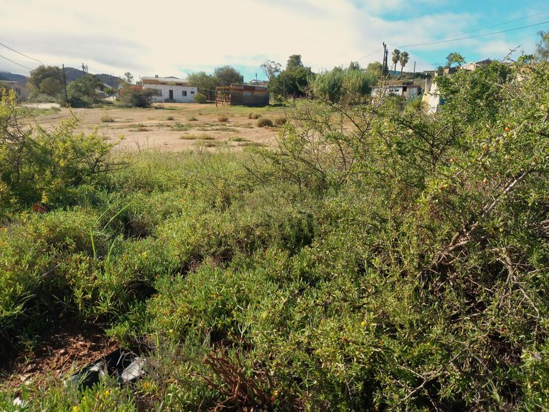 Vacant Land Residential For Sale In Uniondale - Photo 5