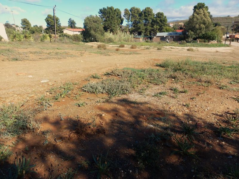 Vacant Land Residential For Sale In Uniondale - Photo 10