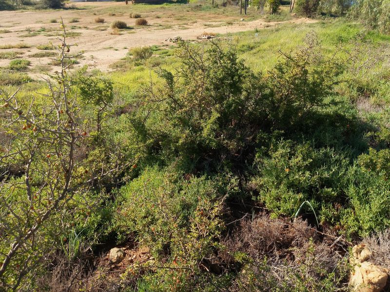 Vacant Land Residential For Sale In Uniondale - Photo 7