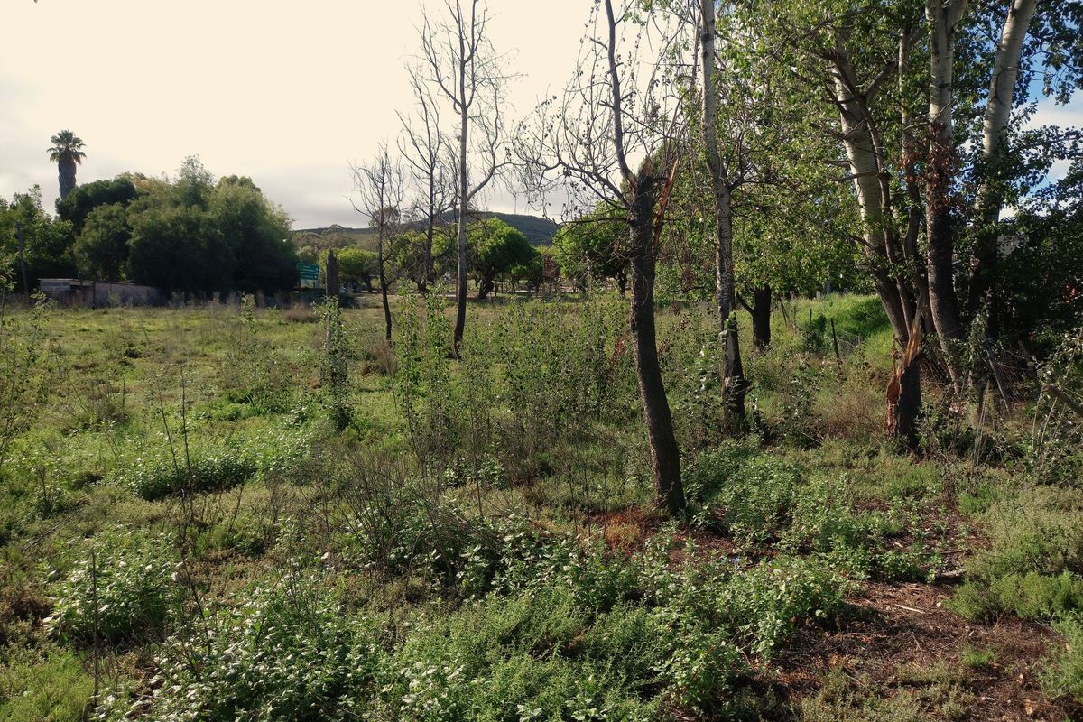 Vacant Land Residential For Sale In Uniondale - Photo 3