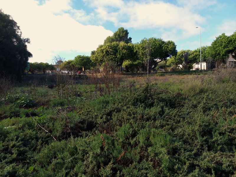 Vacant Land Residential For Sale In Uniondale - Photo 7