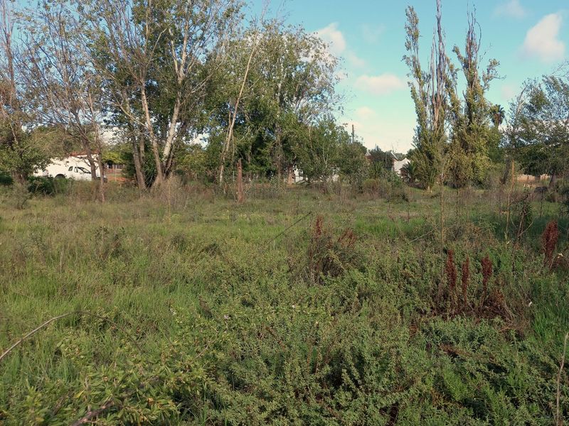 Vacant Land Residential For Sale In Uniondale - Photo 6