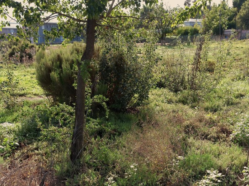 Vacant Land Residential For Sale In Uniondale - Photo 5