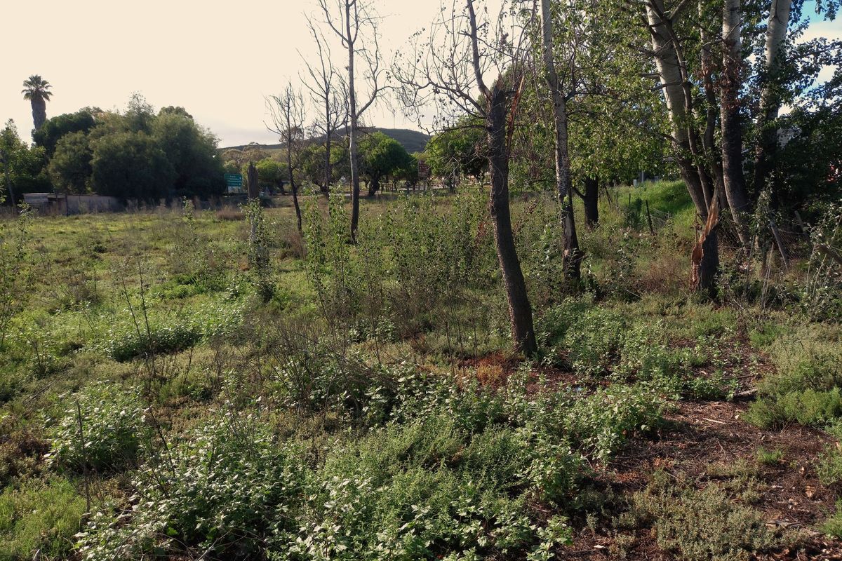 Vacant Land Residential For Sale In Uniondale - Photo 4