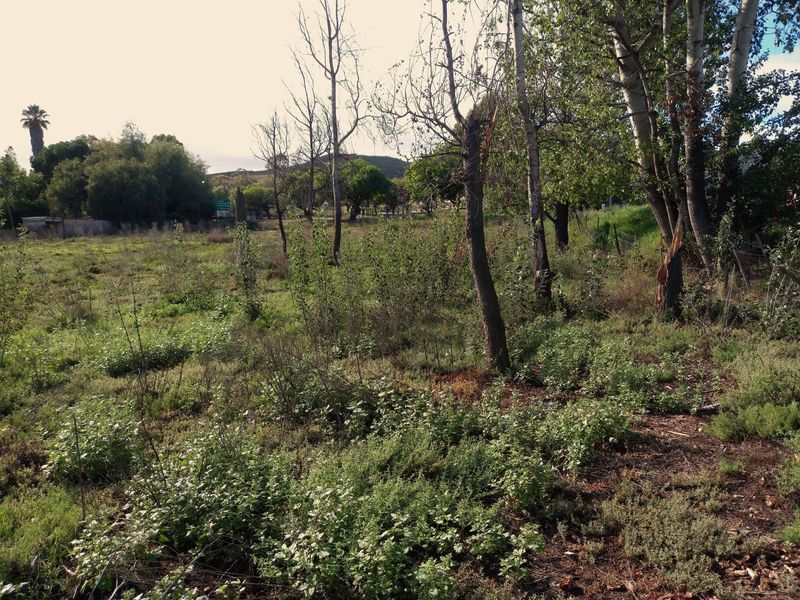 Vacant Land Residential For Sale In Uniondale - Photo 4