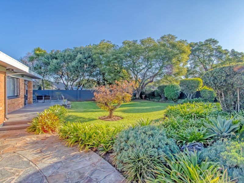Renovated Modern Home To Let in the Heart of Linden - Photo 2