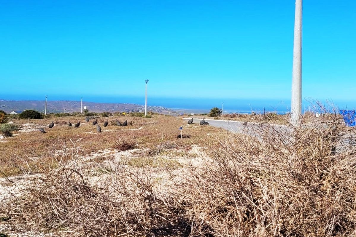 Peace, Tranquility & Views – Your Dream Stand Awaits! - Photo 3