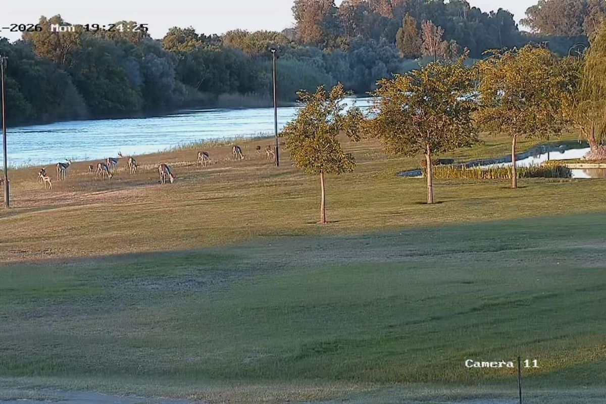 Vacant Land Residential For Sale In Keimoes - Photo 3