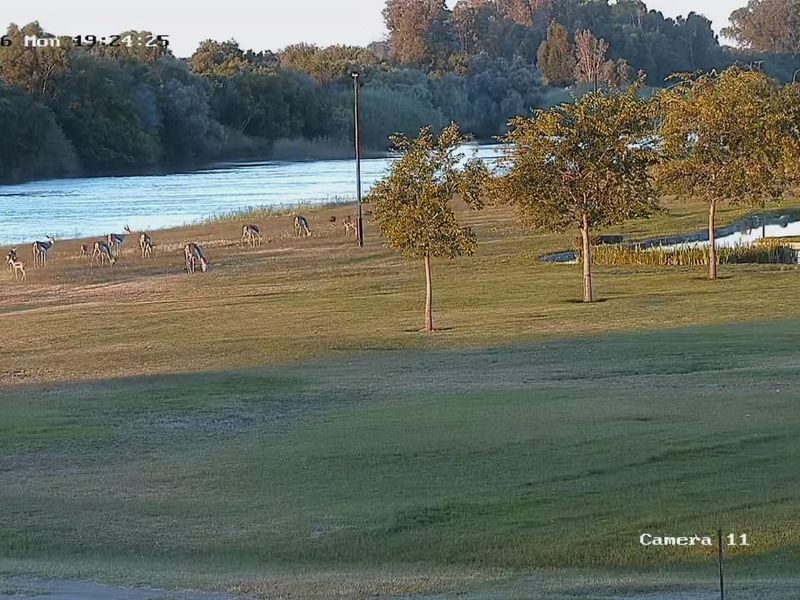 Vacant Land Residential For Sale In Keimoes - Photo 3