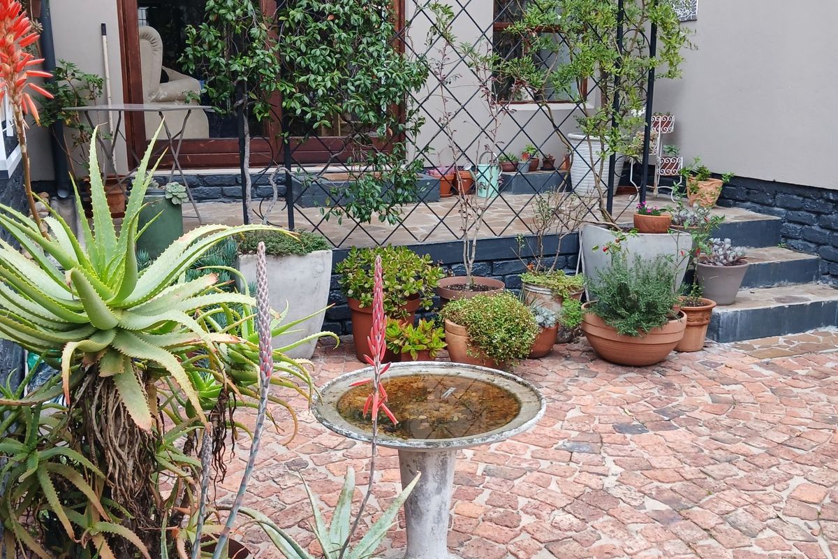 Apartment For Sale In George - Photo 3