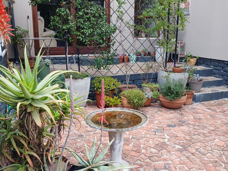 Apartment For Sale In George - Photo 3