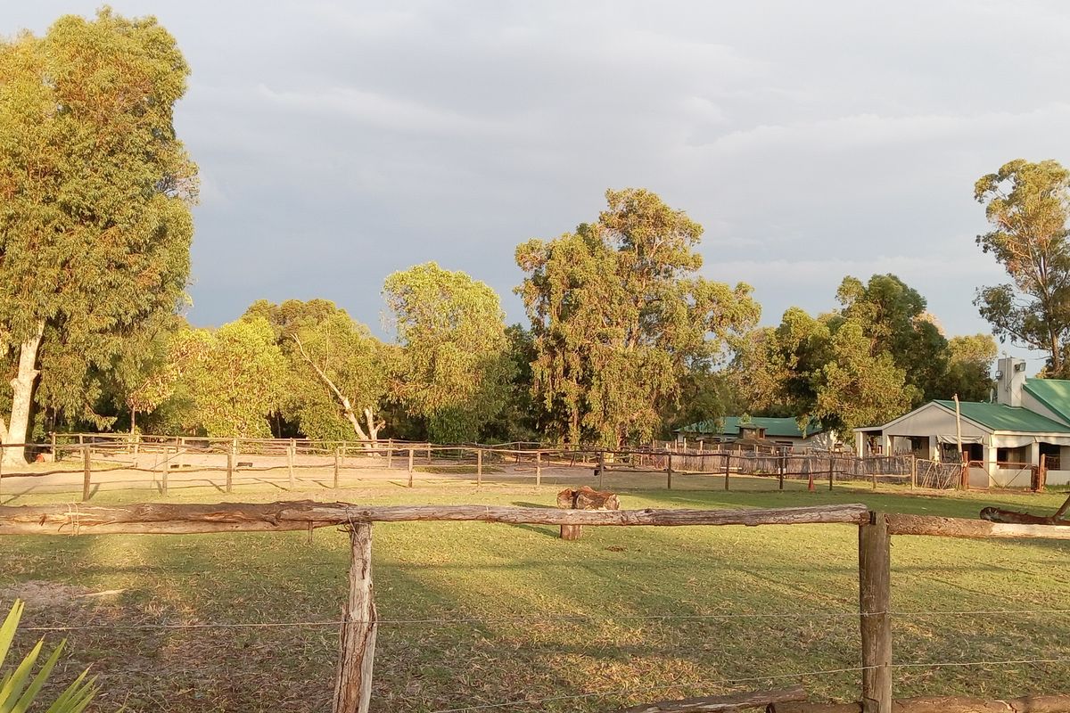 Kaleidoscope Equestrian Estate – Exceptional Lifestyle & Investment Opportunity - Photo 4