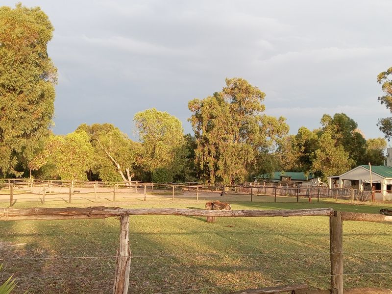 Smallholding Auction In Cape Town - Photo 4