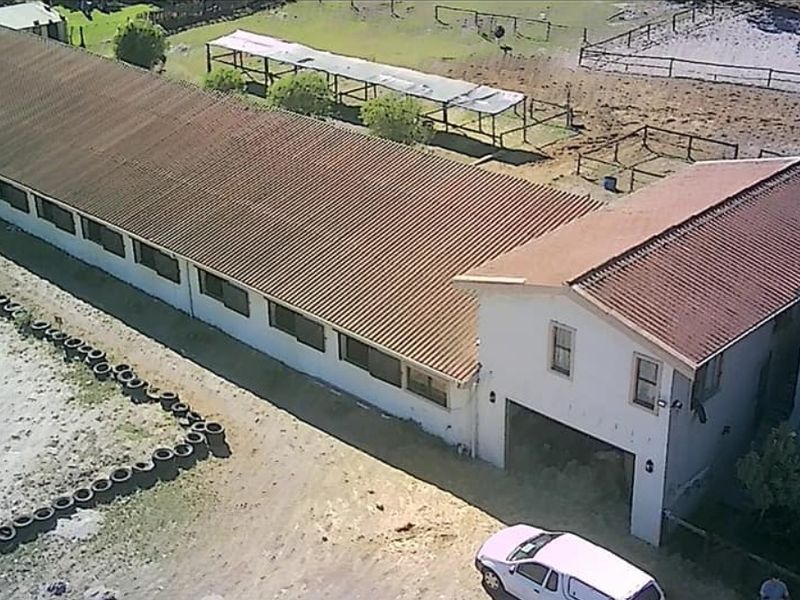 Smallholding Auction In Cape Town - Photo 10