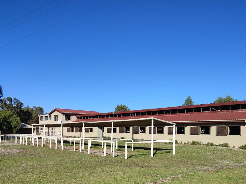 Smallholding Auction In Cape Town - Photo 9