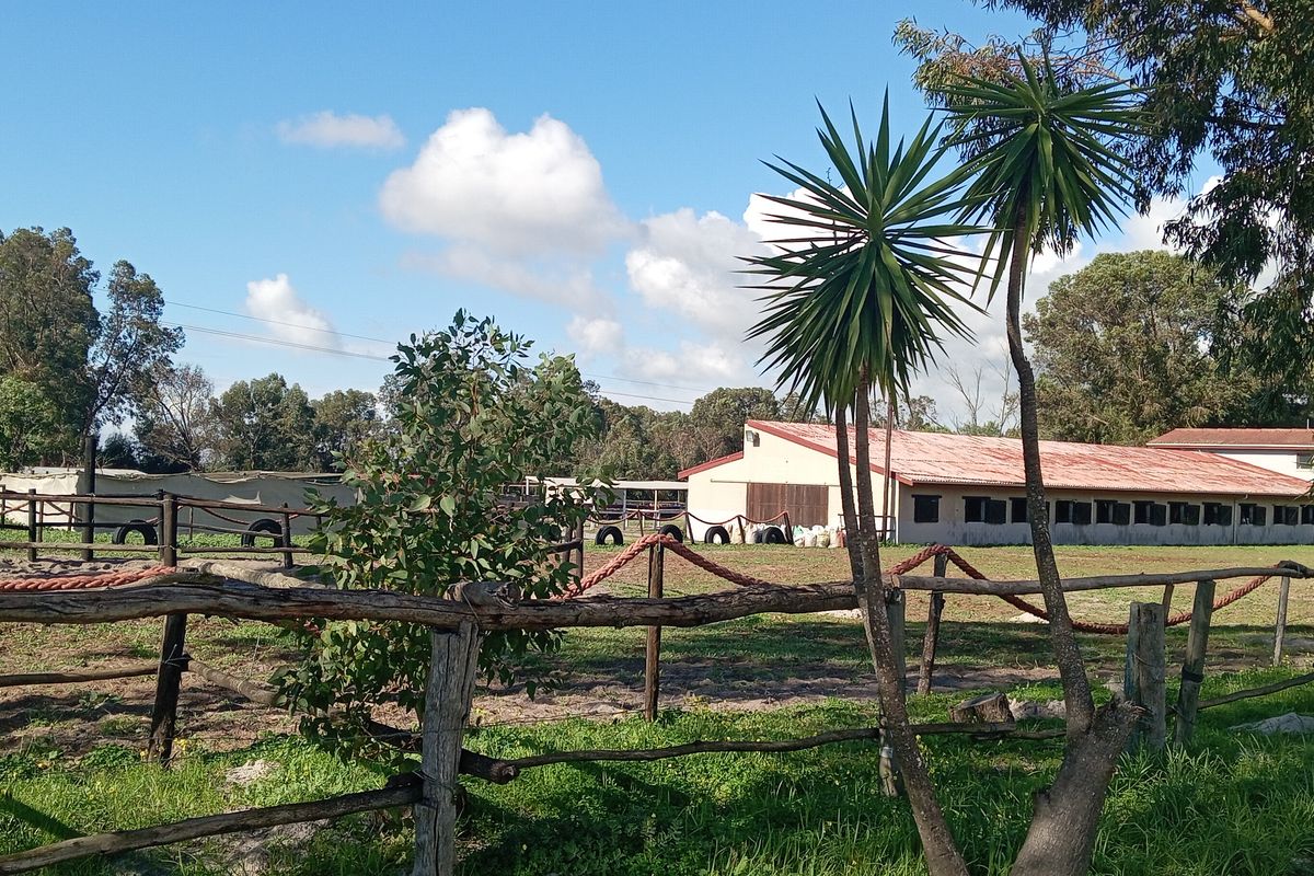 Kaleidoscope Equestrian Estate – Exceptional Lifestyle & Investment Opportunity - Photo 2